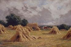 Hampshire Cornfield-Henry Parker-Giclee Print