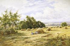 Hampshire Cornfield-Henry Parker-Giclee Print