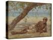 Stretched Canvas Print