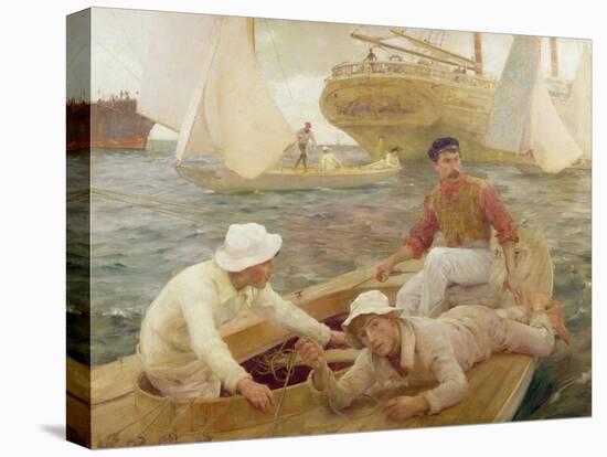 Stretched Canvas Print, , large