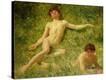Stretched Canvas Print