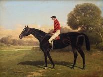 The Celebrated Race Horses 'Henry of Navarre', 'Monitor' and 'Dominoe'-Henry Stull-Giclee Print