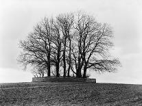 Barrow Near Bourton on the Water, Gloucestershire-Henry Taunt-Framed Photographic Print