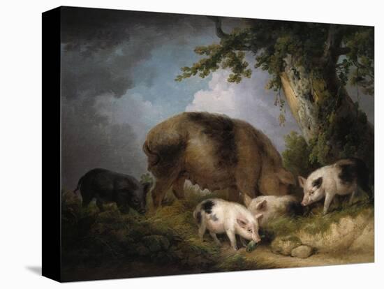 Stretched Canvas Print, , large