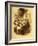 Henry Wadsworth Longfellow 's-John Gilbert-Framed Giclee Print