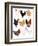 Hens In Glasses-Hanna Melin-Framed Art Print