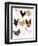 Hens In Glasses-Hanna Melin-Framed Art Print