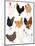 Hens In Glasses-Hanna Melin-Mounted Art Print