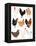 Hens In Glasses-Hanna Melin-Framed Stretched Canvas