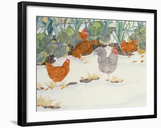 Hens in the Vegetable Patch-Linda Benton-Framed Giclee Print