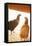 Hens-Karyn Millet-Framed Premier Image Canvas