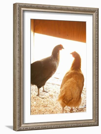 Hens-Karyn Millet-Framed Photographic Print