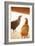 Hens-Karyn Millet-Framed Photographic Print