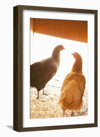 Hens-Karyn Millet-Framed Photographic Print