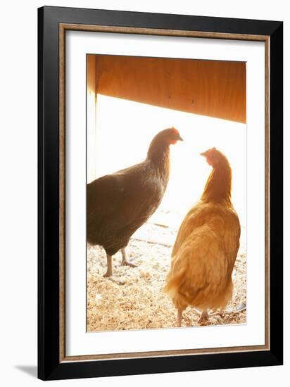 Hens-Karyn Millet-Framed Photographic Print