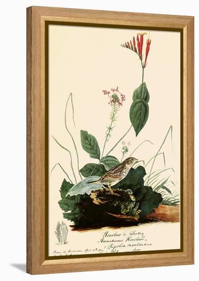 Henslow's Sparrow-John James Audubon-Framed Premier Image Canvas