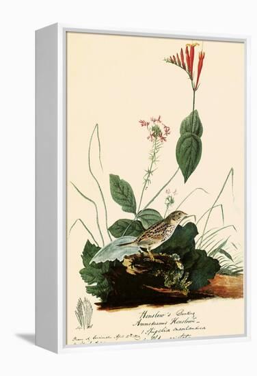 Henslow's Sparrow-John James Audubon-Framed Premier Image Canvas