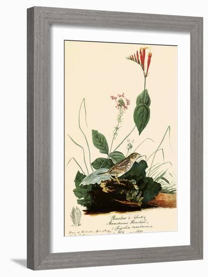 Henslow's Sparrow-John James Audubon-Framed Giclee Print