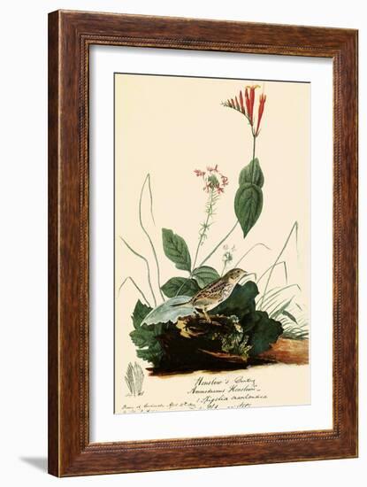 Henslow's Sparrow-John James Audubon-Framed Giclee Print
