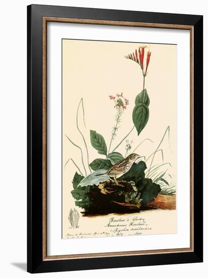 Henslow's Sparrow-John James Audubon-Framed Giclee Print