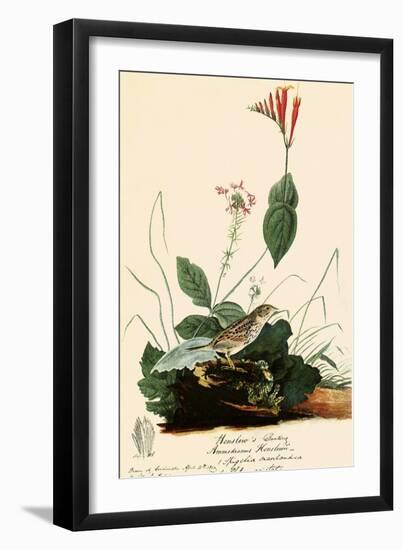 Henslow's Sparrow-John James Audubon-Framed Giclee Print