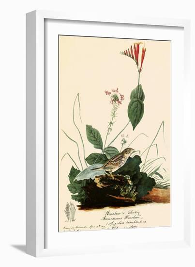 Henslow's Sparrow-John James Audubon-Framed Giclee Print