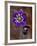 Hepatica and Bud, Lapeer, Michigan, USA-Claudia Adams-Framed Photographic Print