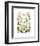 Hepaticae-Ernst Haeckel-Framed Art Print