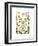 Hepaticae-Ernst Haeckel-Framed Art Print