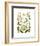 Hepaticae-Ernst Haeckel-Framed Art Print