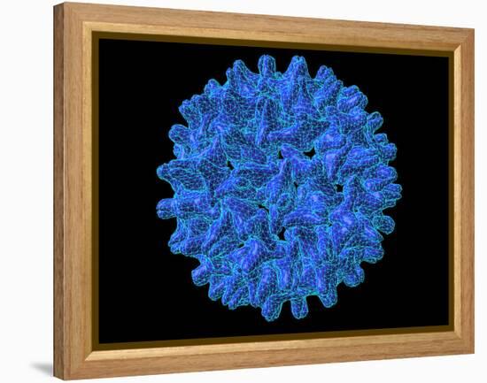 Hepatitis B Virus Particle-Laguna Design-Framed Premier Image Canvas