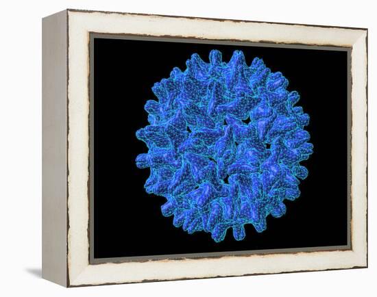 Hepatitis B Virus Particle-Laguna Design-Framed Premier Image Canvas