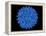 Hepatitis B Virus Particle-Laguna Design-Framed Premier Image Canvas