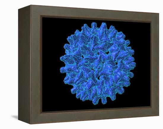 Hepatitis B Virus Particle-Laguna Design-Framed Premier Image Canvas