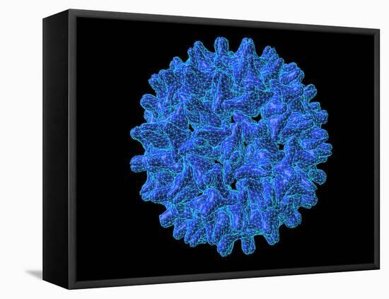 Hepatitis B Virus Particle-Laguna Design-Framed Premier Image Canvas