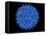 Hepatitis B Virus Particle-Laguna Design-Framed Premier Image Canvas