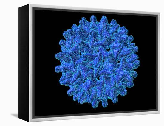 Hepatitis B Virus Particle-Laguna Design-Framed Premier Image Canvas