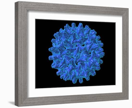 Hepatitis B Virus Particle-Laguna Design-Framed Photographic Print