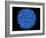 Hepatitis B Virus Particle-Laguna Design-Framed Photographic Print