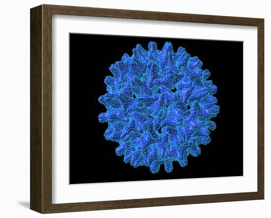 Hepatitis B Virus Particle-Laguna Design-Framed Photographic Print