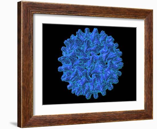 Hepatitis B Virus Particle-Laguna Design-Framed Photographic Print