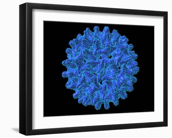 Hepatitis B Virus Particle-Laguna Design-Framed Photographic Print