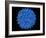 Hepatitis B Virus Particle-Laguna Design-Framed Photographic Print