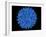 Hepatitis B Virus Particle-Laguna Design-Framed Photographic Print