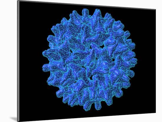 Hepatitis B Virus Particle-Laguna Design-Mounted Photographic Print