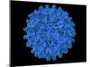 Hepatitis B Virus Particle-Laguna Design-Mounted Photographic Print