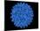 Hepatitis B Virus Particle-Laguna Design-Mounted Photographic Print