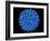 Hepatitis B Virus Particle-Laguna Design-Framed Photographic Print