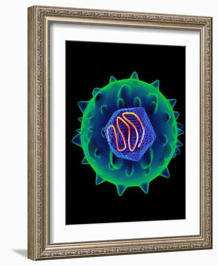 Hepatitis C Virus, Artwork-Mehau Kulyk-Framed Photographic Print