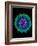 Hepatitis C Virus, Artwork-Mehau Kulyk-Framed Photographic Print